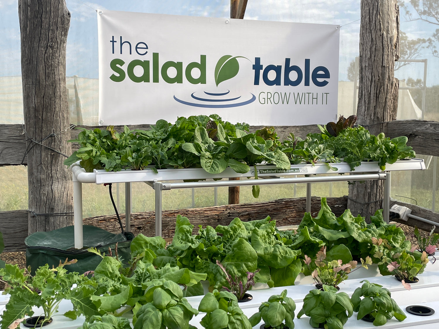 Salad Table