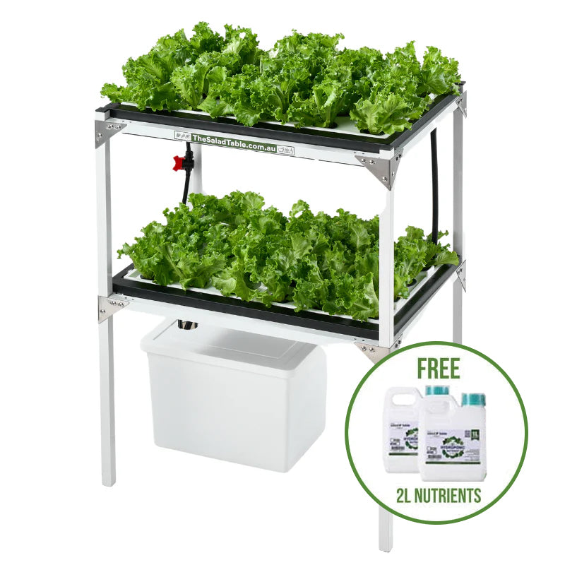 The Salad Bar – The Ultimate Home Hydroponic Garden for Any Space