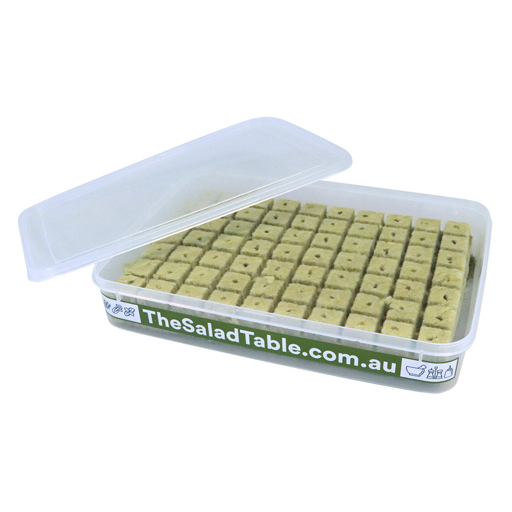 70 Premium Rockwool Grow Cubes in Propagation Tray